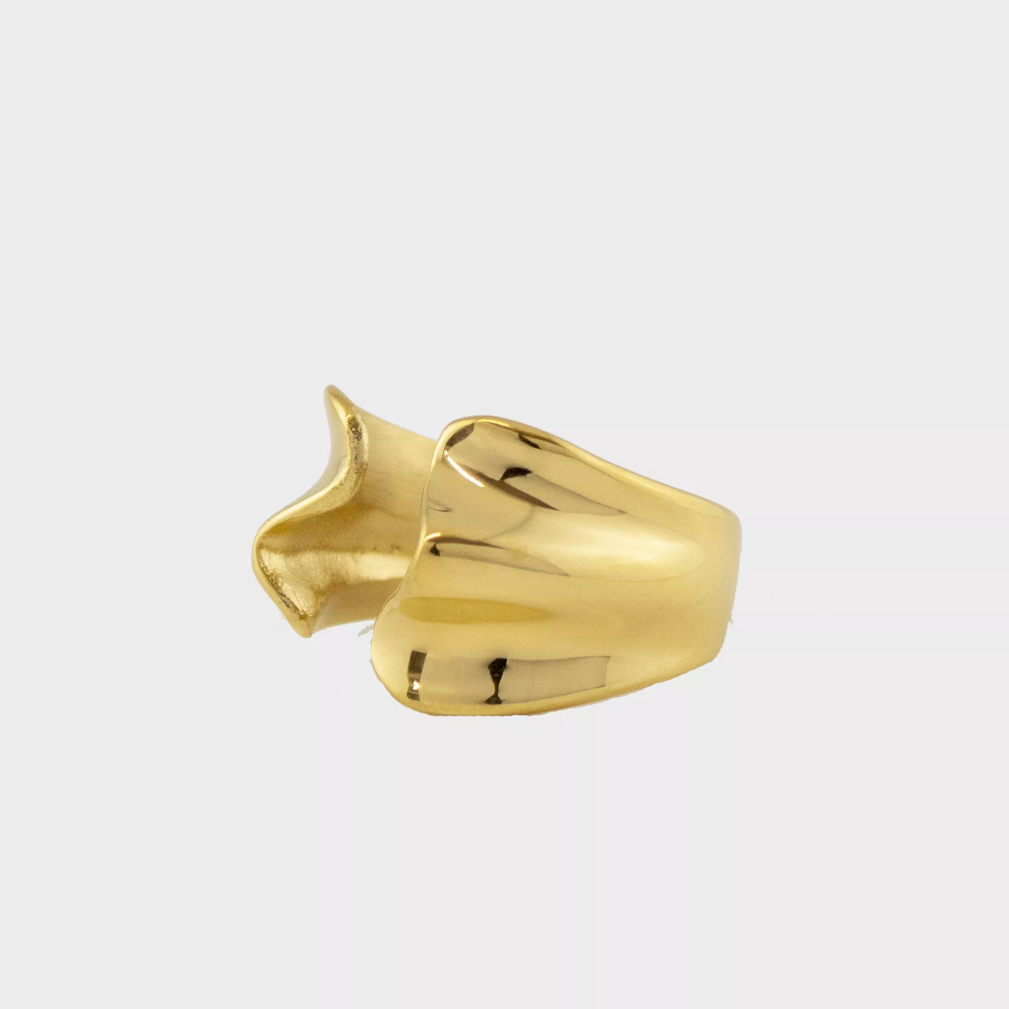 lateral anillo folds